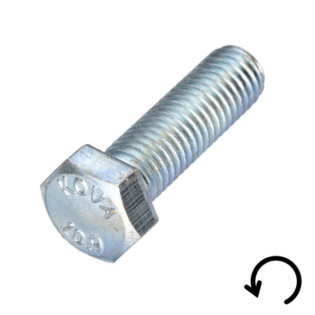 1 x Vite Per Metalli Testa Esagonale Passo Sinistro M10X40 Classe 10.9 acciaio geometico