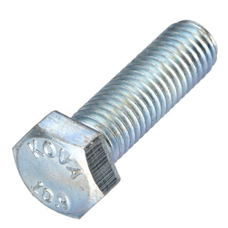 1 x Vite Per Metalli Testa Esagonale Passo Sinistro M6X50 Classe 10.9 acciaio geometico