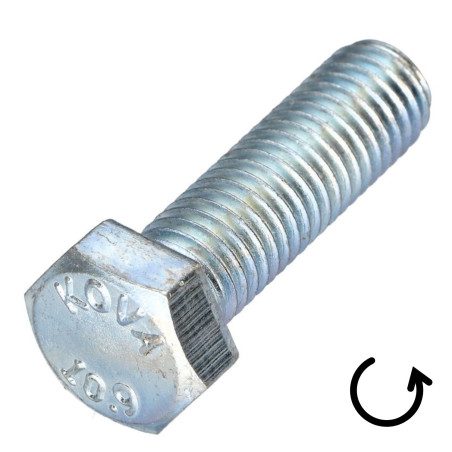 1 x Vite Per Metalli Testa Esagonale Passo Sinistro M6X50 Classe 10.9 acciaio geometico