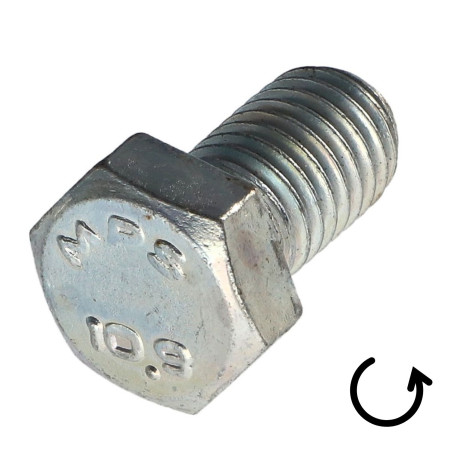 1 x Vite Per Metalli Testa Esagonale Passo Sinistro M6X16 Classe 10.9 acciaio geometico