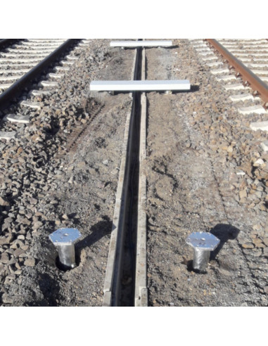 1 x Vite di fondazione 89X5X1500 Elevata...
