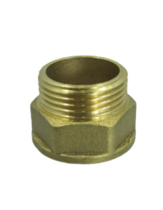 Capezzolo esagonale Figura 529 Maschio/Femmina 20x27...
