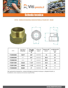 Capezzolo esagonale Figura 529 Maschio/Femmina 15x21... 2