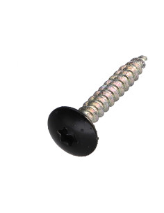 Vite Bandella 4X30 Filettata Su 20 T20 Zincate Ral9005...