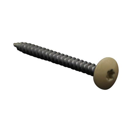 1 x Vite Bandella 4,5X50 Discussione completa T20 Zincate LAQ RAL1014