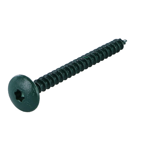 1 x Vite Bandella 4,5X50 Discussione completa T20 Zincate LAQ Ral6005 Verde Muschio