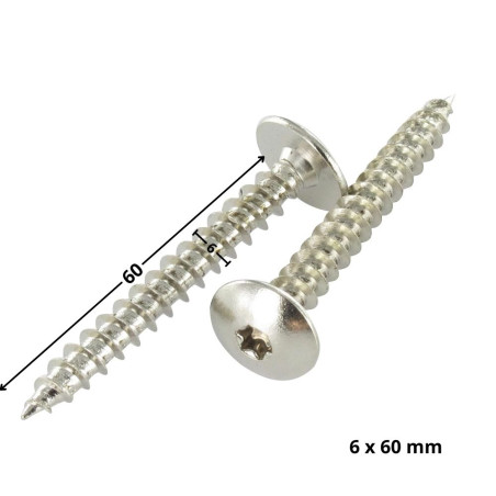 1 x Vite Bandella 6X60 Filettatura Parziale T30 Acciaio Nichel