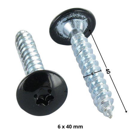 1 x Vite Bandella 6X40 Filettatura Parziale T30 Zincate Laccato Nero 9005
