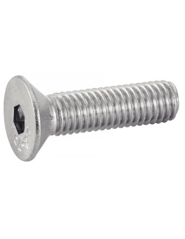 1 x Set 1240 Vite Per Metalli Testa Forata Con...