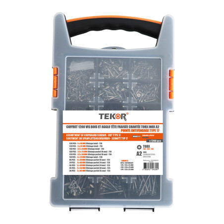 1 x Set 1200 Viti per legno TEKOR Testa Forata Dentellato Torx Acciaio Inox A2