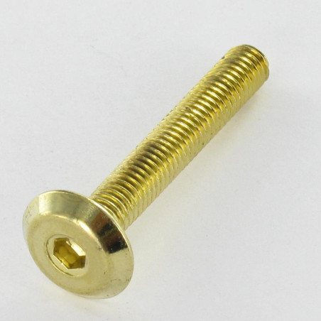 1 x Vite Per Metalli Piatta Chiave Esagonale Da 4 M6X60 Acciaio Ottonato