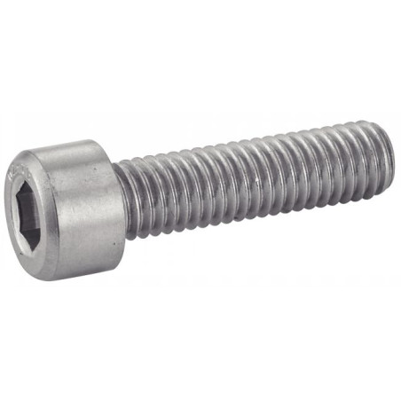 1 x Set 620 Vite Per Metalli A Esagono Incassato Acciaio Inox A4