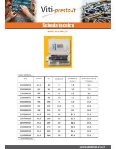 KIT +NET RAPPORTO M12X18 Passo 175 2