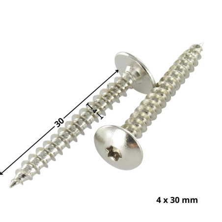 1 x Vite Bandella 4X30 Filettata Su 20 T20 Acciaio Nichel