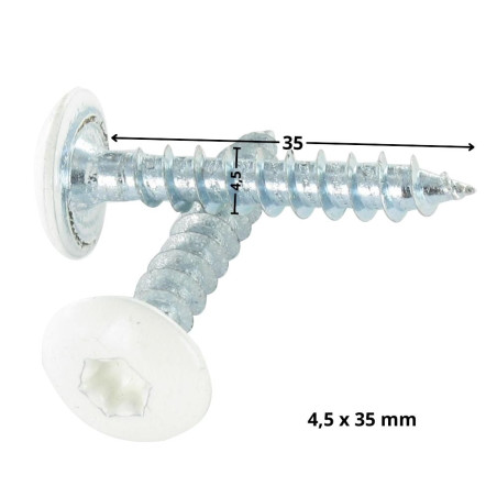 1 x Vite Bandella 4,5X35 Discussione completa T20 Zincate Ral9010 Bianco Puro