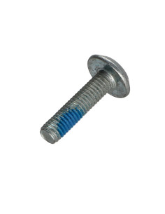 Vite Per Metalli Piatta Chiave Esagonale Da 4 M6X25... 2