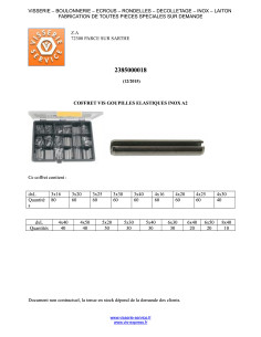 Set 810 Pasadores ELAST Acciaio Inox A2 2