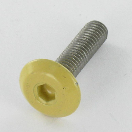 1 x Vite Per Metalli Piatta Chiave Esagonale Da 4 M6X25 Zincate Testa RAL1002