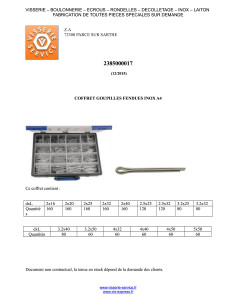 Set 1580 Pasadores Con Intaglio Acciaio Inox A2 2