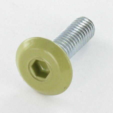 1 x Vite Per Metalli Piatta Chiave Esagonale Da 4 M6X20 Zincate Testa RAL1020