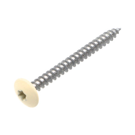 1 x Vite Bandella 4,5X50 Discussione completa T20 Zincate LAQ Ral9010 Bianco Puro