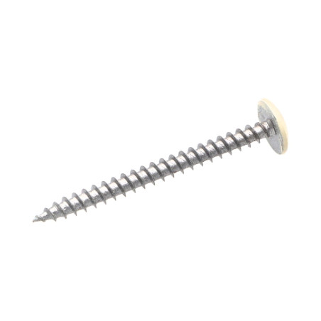1 x Vite Bandella 4,5X50 Discussione completa T20 Zincate LAQ Ral9010 Bianco Puro