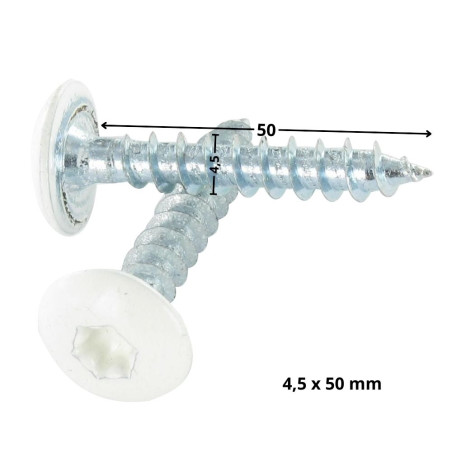 1 x Vite Bandella 4,5X50 Discussione completa T20 Zincate LAQ Ral9010 Bianco Puro