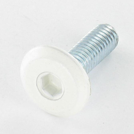 1 x Vite Per Metalli Piatta Chiave Esagonale Da 4 M6X20 Zincate Testa Ral9010 Bianco Puro
