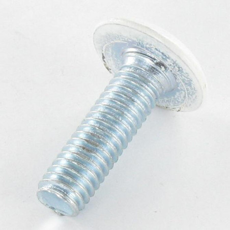 1 x Vite Per Metalli Piatta Chiave Esagonale Da 4 M6X20 Zincate Testa Ral9010 Bianco Puro