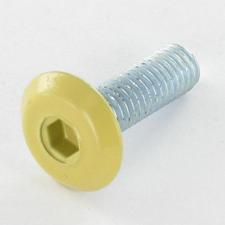 1 x Vite Per Metalli Piatta Chiave Esagonale Da 4 M6X20 Zincate Testa RAL1002
