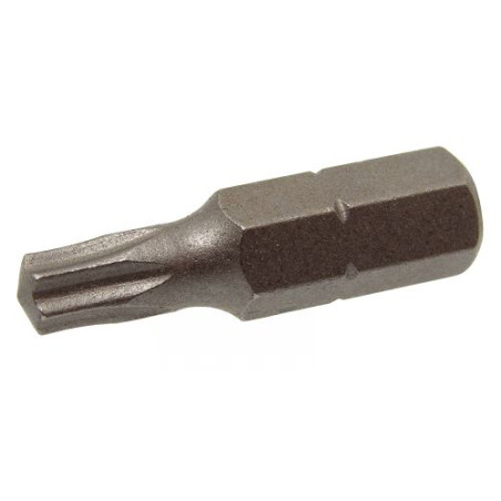 1 x Set 1666 Vite Per Legno E Truciolato Testa Forata TX + Punta Acciaio Inox A4