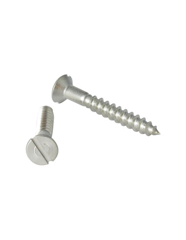 1 x Viti Per Legno Acciaio Inox A2 Testa Forata...