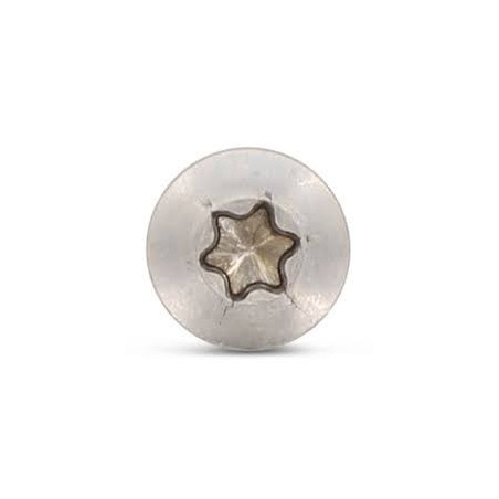 1 x Vite Per Legno E Truciolato Testa Forata Bombata T25 5X60 Filettata Su 36 Acciaio Inox A4