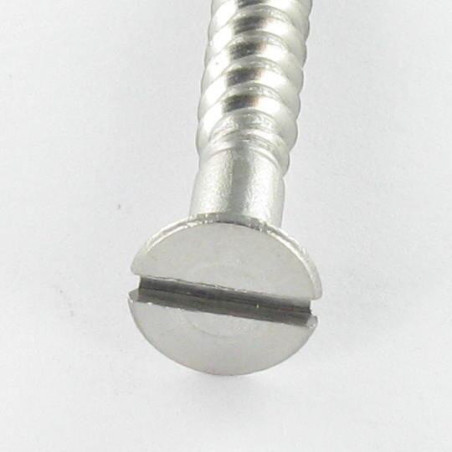 1 x Viti Per Legno Acciaio Inox A2 Testa Forata Con Intaglio 5X40