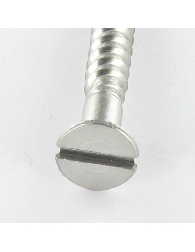 1 x Viti Per Legno Acciaio Inox A2 Testa Forata...