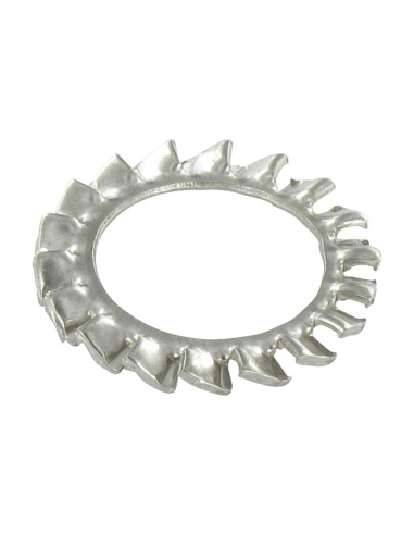 1 x Rondella Dentata Acciaio Inox A4 Dentellata...