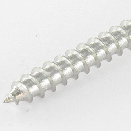 1 x Viti Per Legno Acciaio Inox A2 Testa Poelier Con Intaglio 5X35