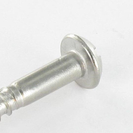 1 x Viti Per Legno Acciaio Inox A2 Testa Poelier Con Intaglio 6X25