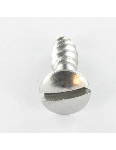 1 x Viti Per Legno Acciaio Inox A2 Testa Forata...