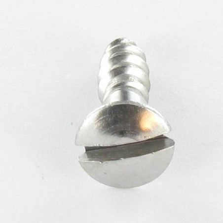 1 x Viti Per Legno Acciaio Inox A2 Testa Forata Bombata Con Intaglio 3X20 microviti