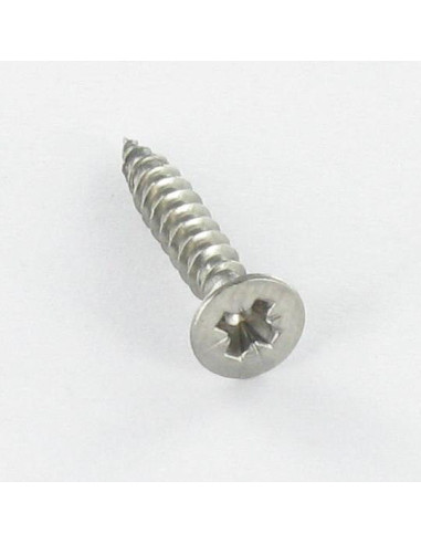 1 x Viti Per Legno Acciaio Inox A2 Testa Forata...
