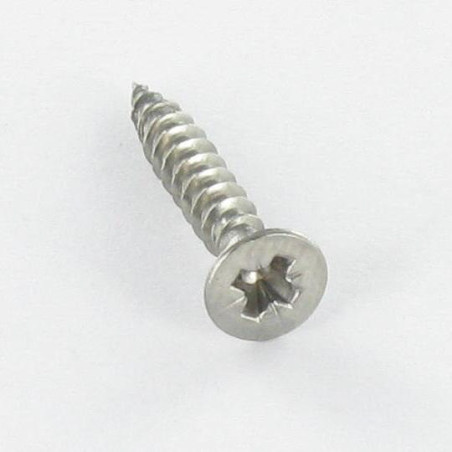 1 x Viti Per Legno Acciaio Inox A2 Testa Forata Pozi PZ4 2,5X16 microviti