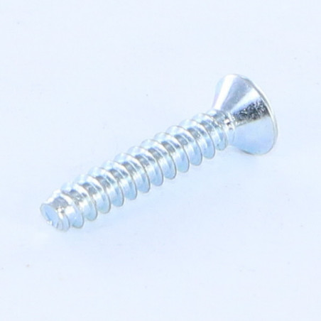 1 x Vite Per Lamiera Testa Forata Phillips 1 Senza Punta 2,9X13 Zincate