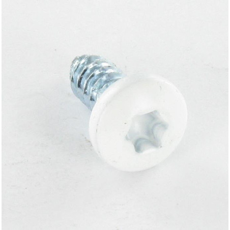 1 x Vite Per Lamiera Testa Cilindrica Dentellato 6,3X16 T30 Zincate Ral9016 Bianco Traffico