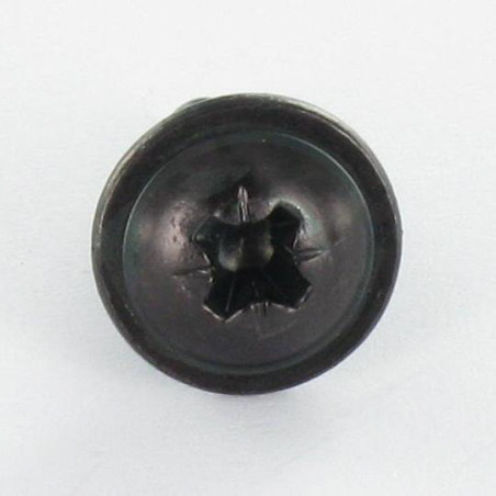 1 x Vite Per Lamiera Testa Poelier Larga Pozy 4,8 x 9,5 Acciaio Zincato Nero Senza Punta