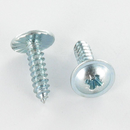 1 x Vite Per Lamiera testa bombata larga Pozy 2,9 x 6,5 Dentellato Zincate