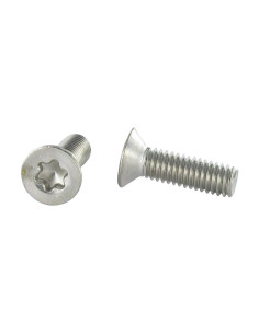 Vite Per Metalli Testa Forata T30 M6X50 Acciaio Inox A4