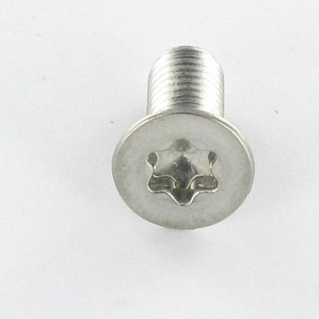 1 x Vite Per Metalli Testa Forata T30 M6X25 Acciaio Inox A4