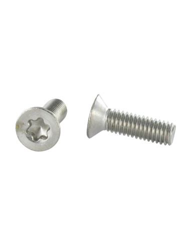 1 x Vite Per Metalli Testa Forata T25 M5X20...