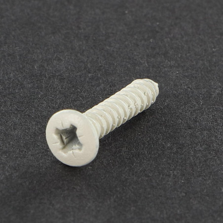 1 x Vite Per Lamiera Testa Forata Bombata Pozy 2,9X16 Zincate Laccato Bianco R9003